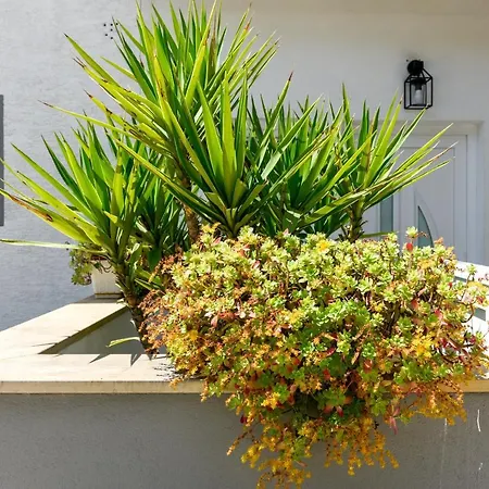 דירה Mare זאדאר